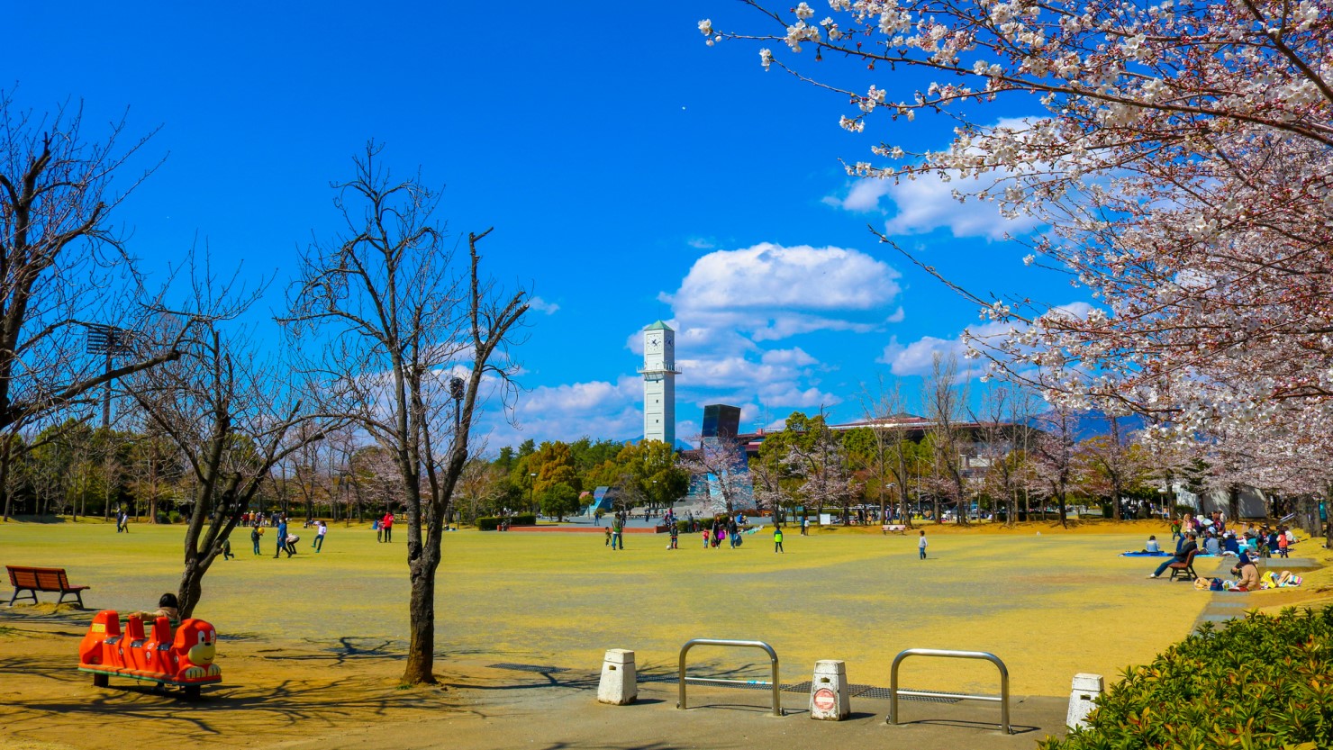 子育てに求められる7つの項目を満たす甲府市