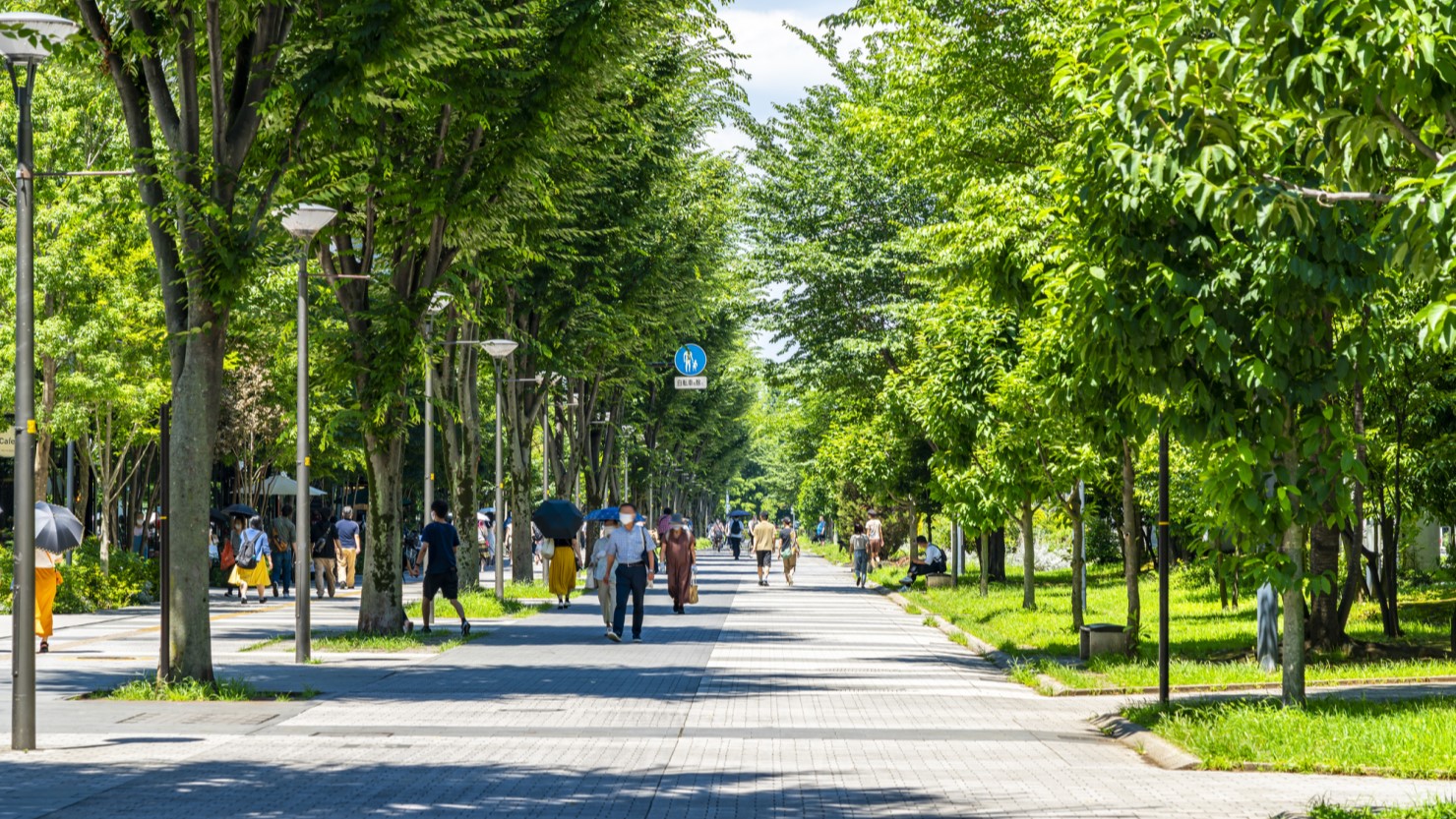 立川駅近くの自然豊かなサンサンロード