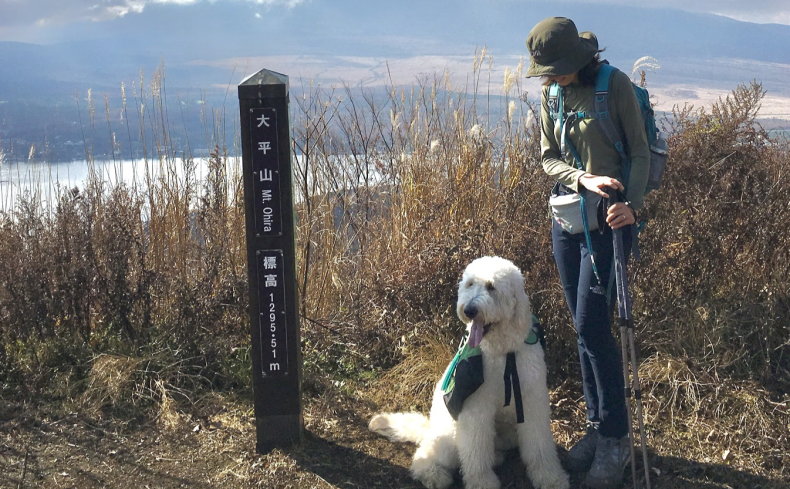 大平山（山梨県）に登ろう！～第5回 犬と週末登山の体験記～