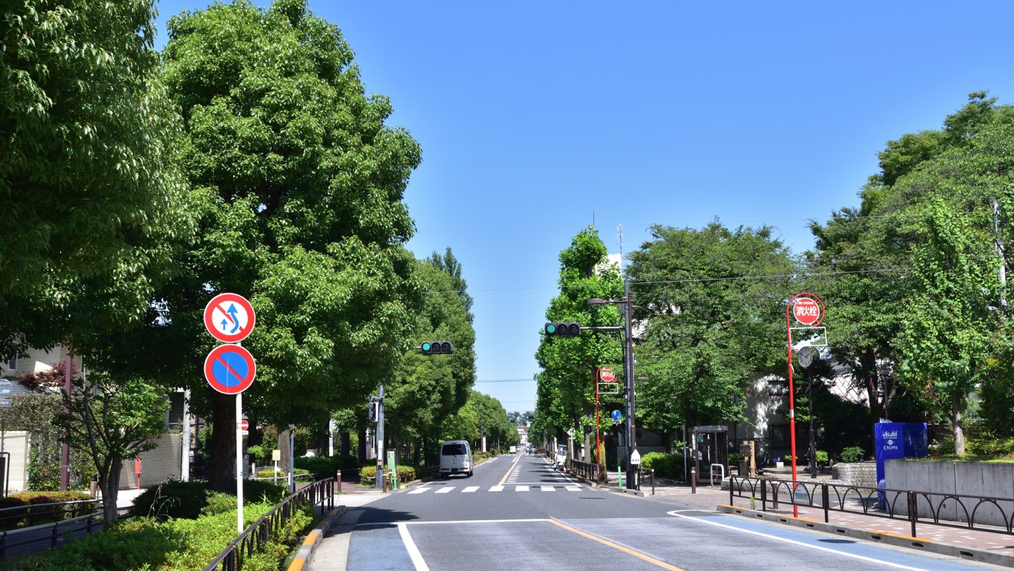 世田谷ゆりの木通り