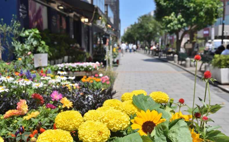 「東急東横線」沿線は住みやすい？家賃相場が安い駅や沿線の魅力を伝えます