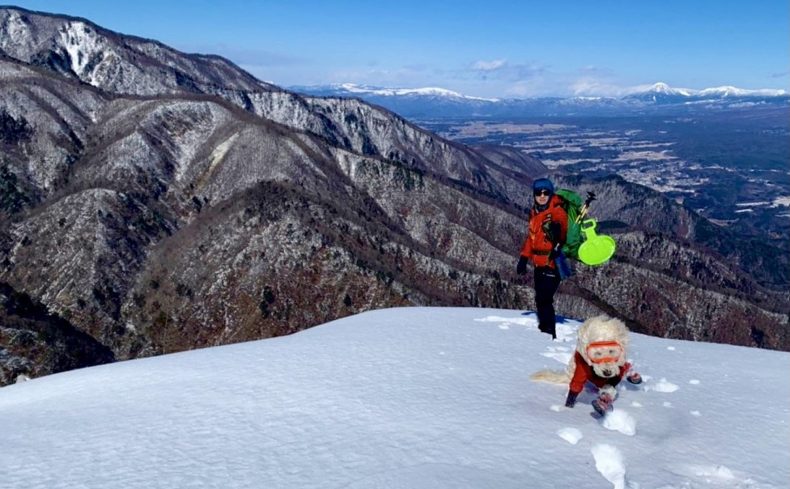 日向山（山梨県）に登ろう！ ～第6回 犬と週末登山の体験記～