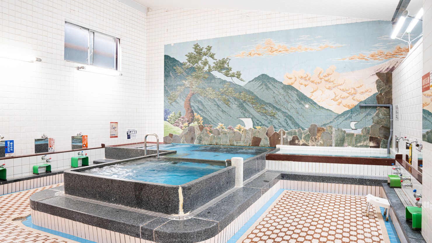 男湯と女湯。小さな豆タイルで描かれた富士山のタイル絵が出迎えてくれる