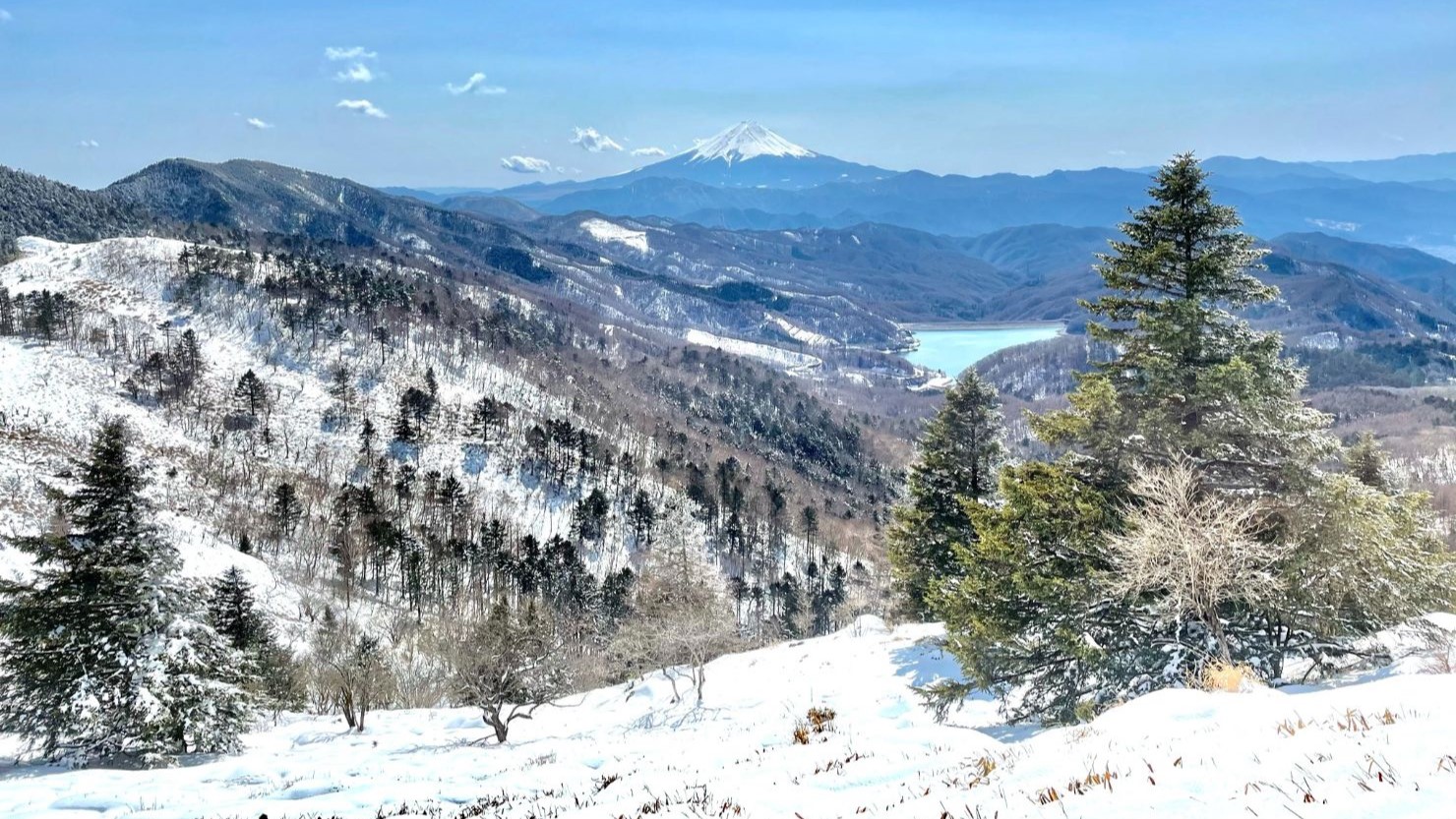 大菩薩嶺（山梨県）に登ろう！～第7回 犬と週末登山の体験記～