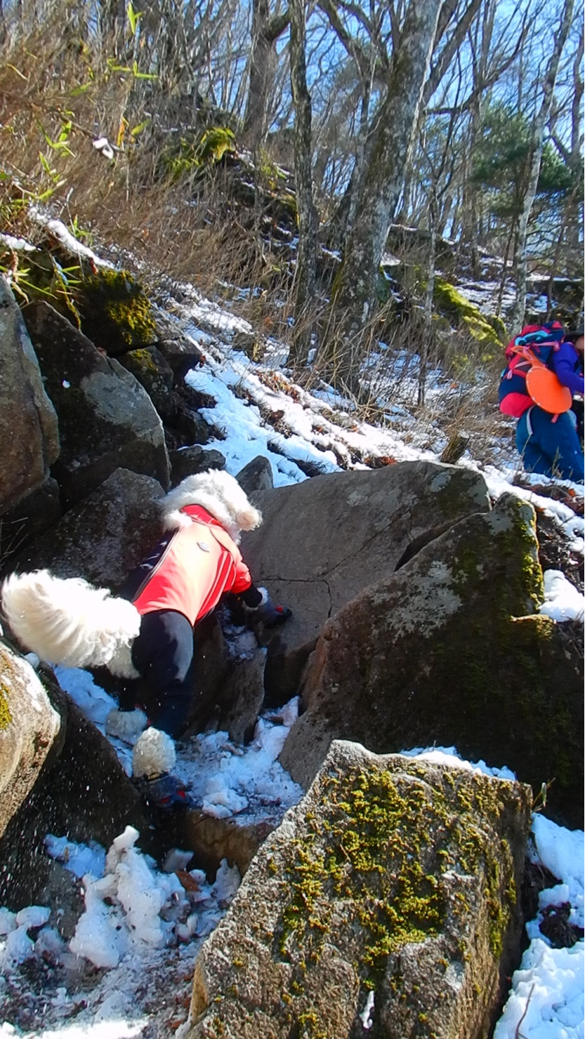 登山道に入ると最初から急登