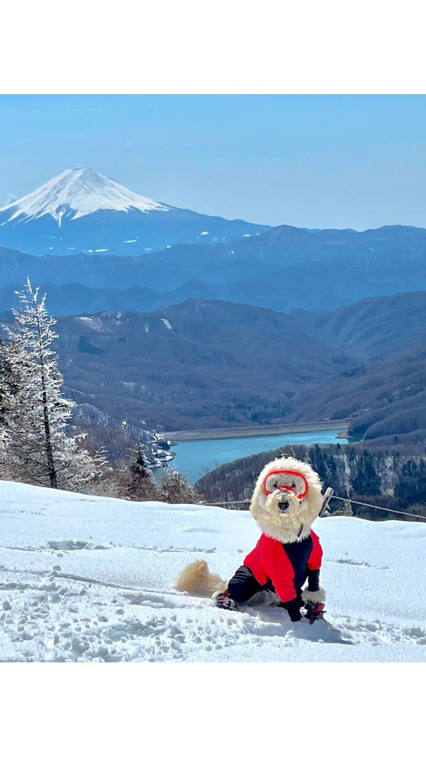 大菩薩嶺の見所は山頂の先にある