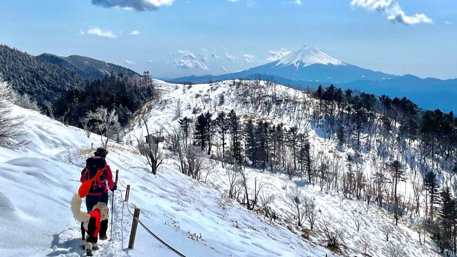 純白の尾根道の正面にはずっと富士山の姿が。右を向けば南アルプスも！