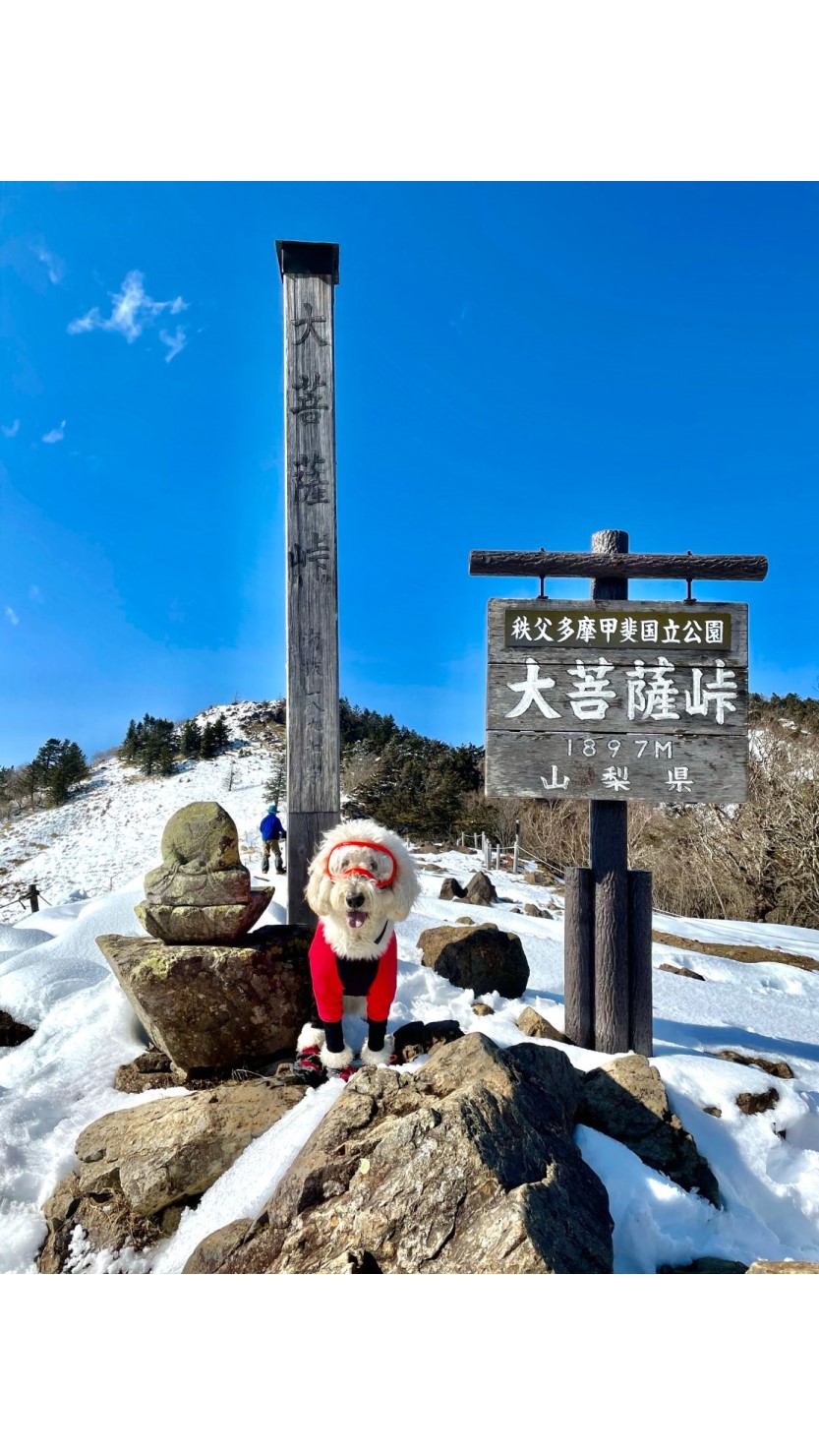 大菩薩峠に到着。夢のような尾根道はここで終了