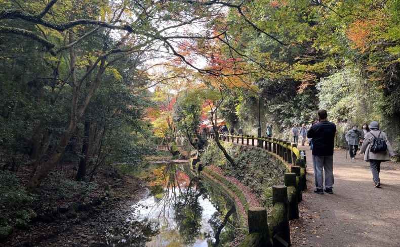 自然に包まれて暮らす、大阪・箕面での暮らし 〜私の街を紹介します〜
