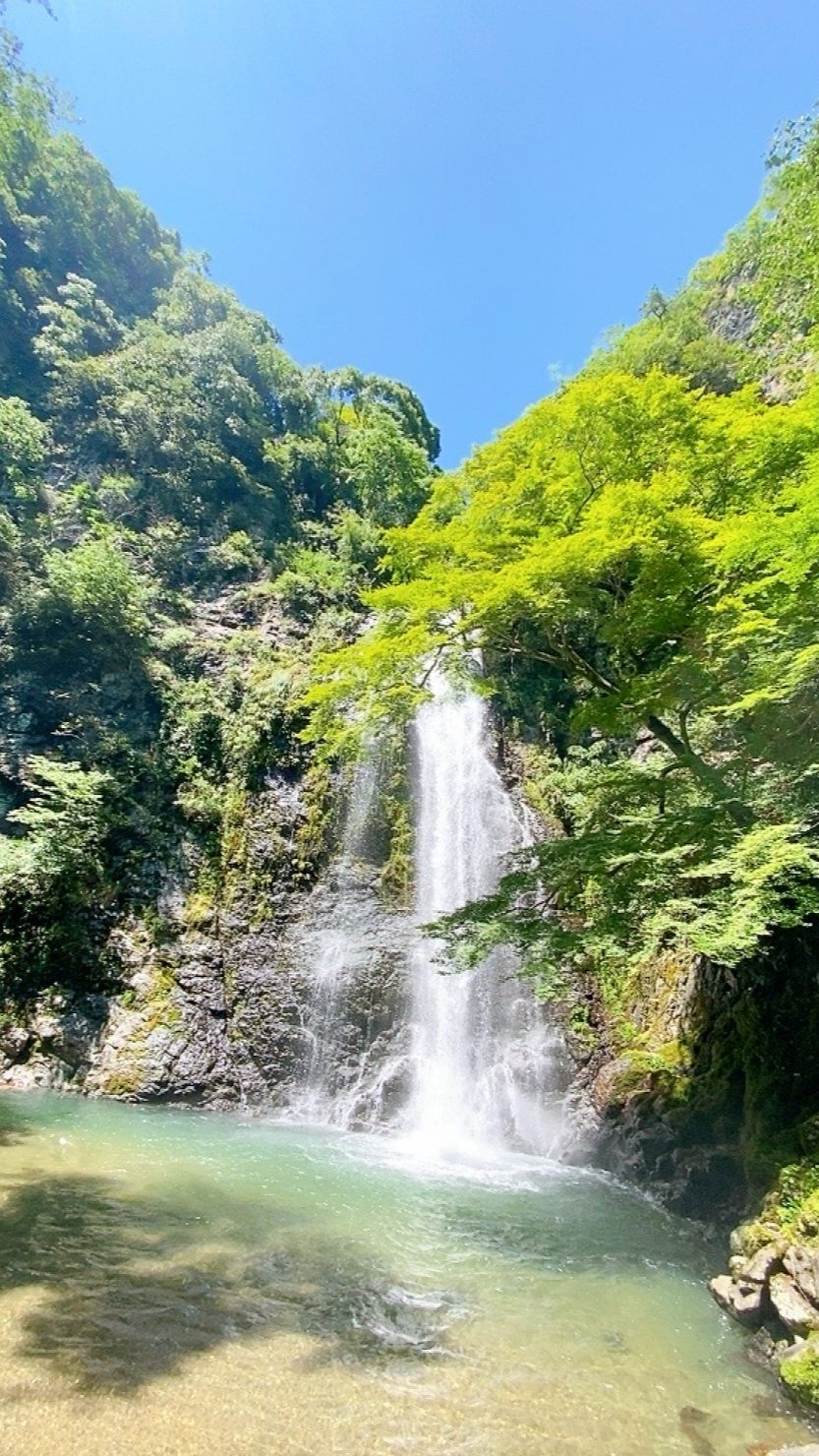 Kさん撮影の初夏の箕面。箕面大滝の様子は見ているだけで、涼しくなれそう