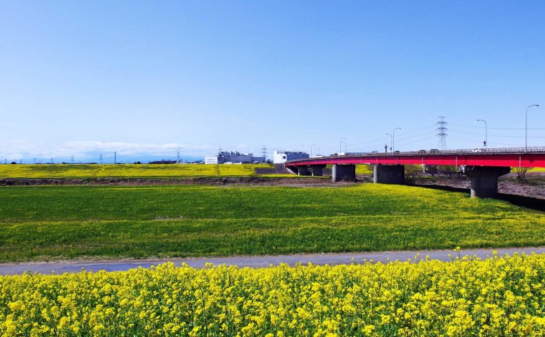 千葉県「野田市」の住みやすさは？10年住んだ体験談