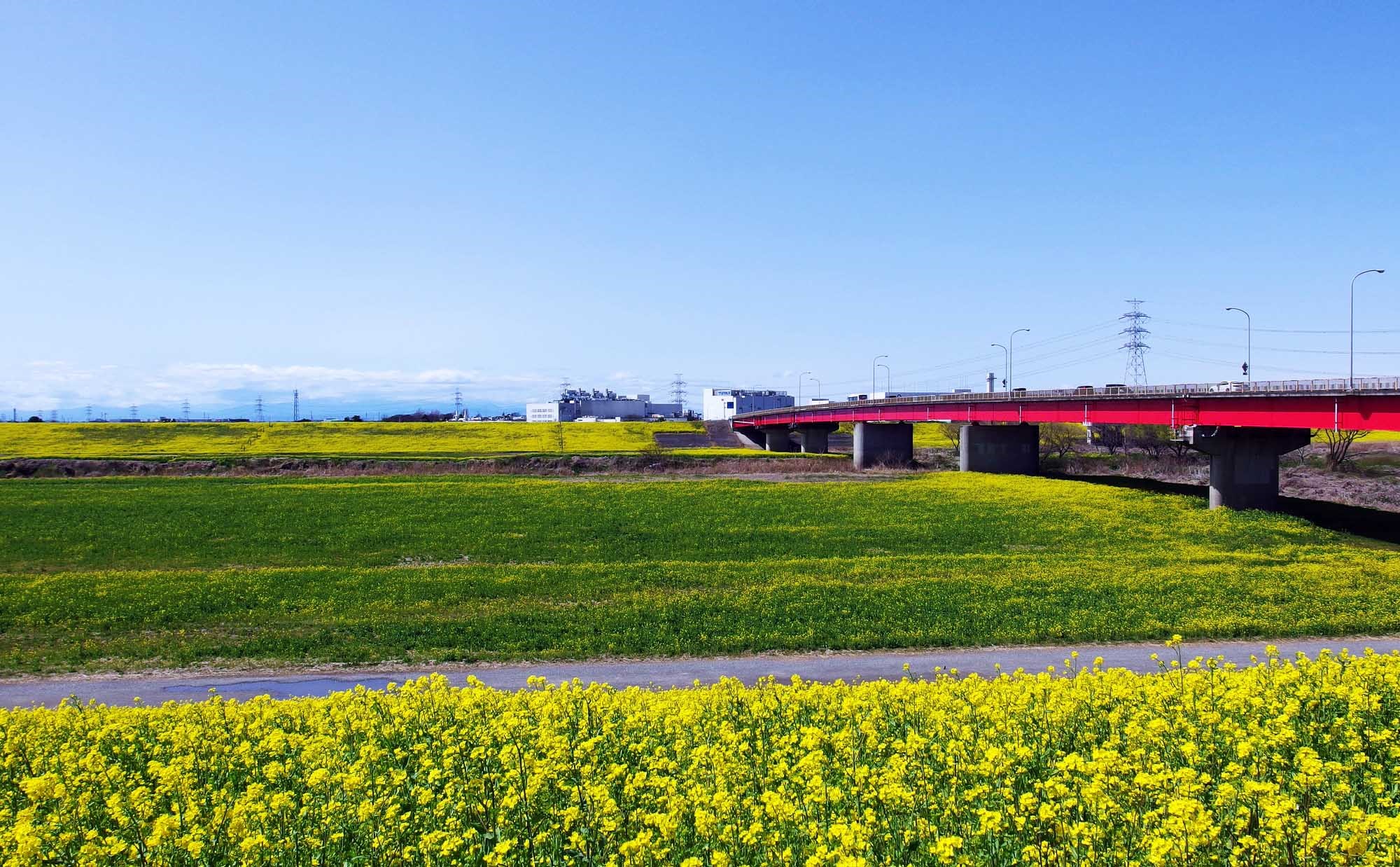 千葉県「野田市」の住みやすさは？10年住んだ体験談