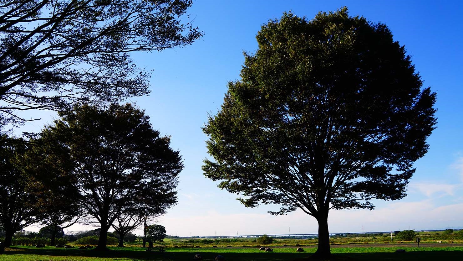 野田市にある関宿にこにこ水辺公園