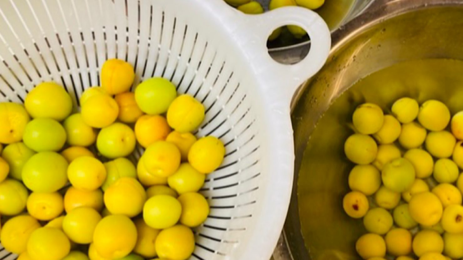 漬ける前の梅の実
