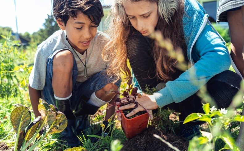 コミュニティガーデンの魅力とは？「友情」も「癒し」も育むニュージーランドの事例を紹介します　
