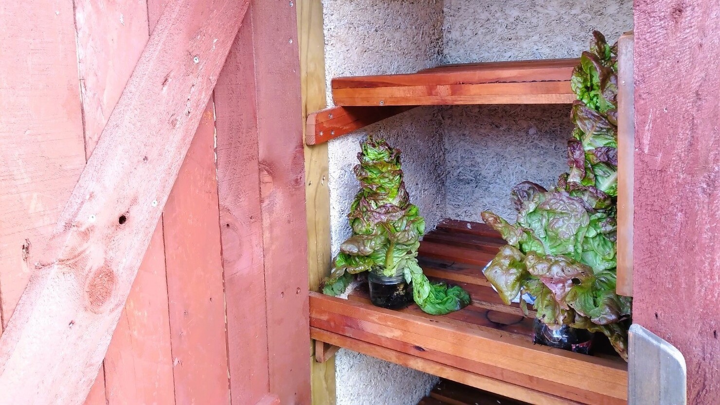 パタカ（食品の小型倉庫）に入っている一般の人へのおすそ分け用作物。パタカは、麻繊維の建築資材で作られている　　© Mari Sato-Clothier