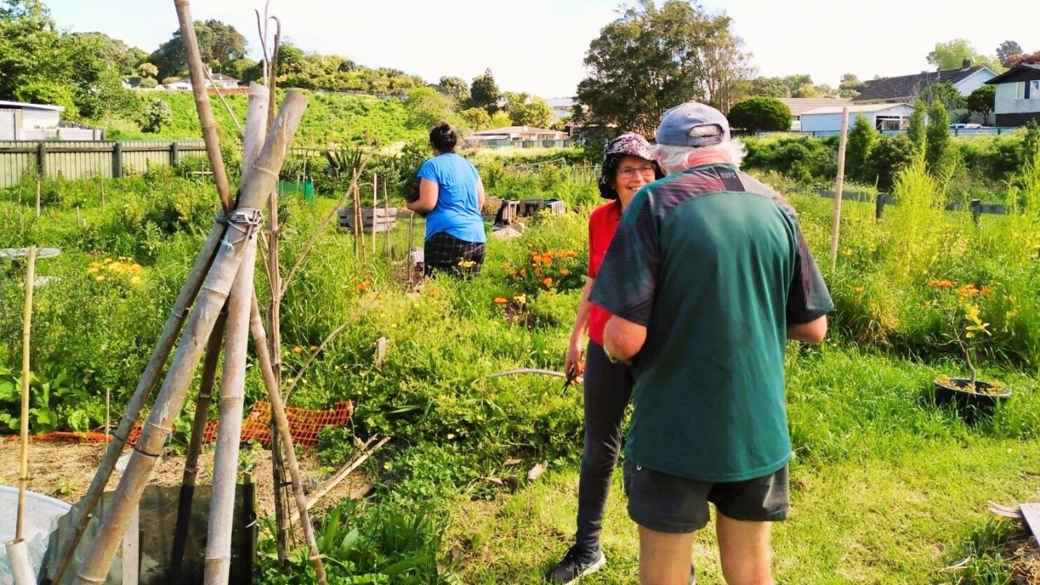 今やコミュニティガーデンはさまざまなプロジェクトとコラボレーションする場となっている　© Mari Sato-Clothier