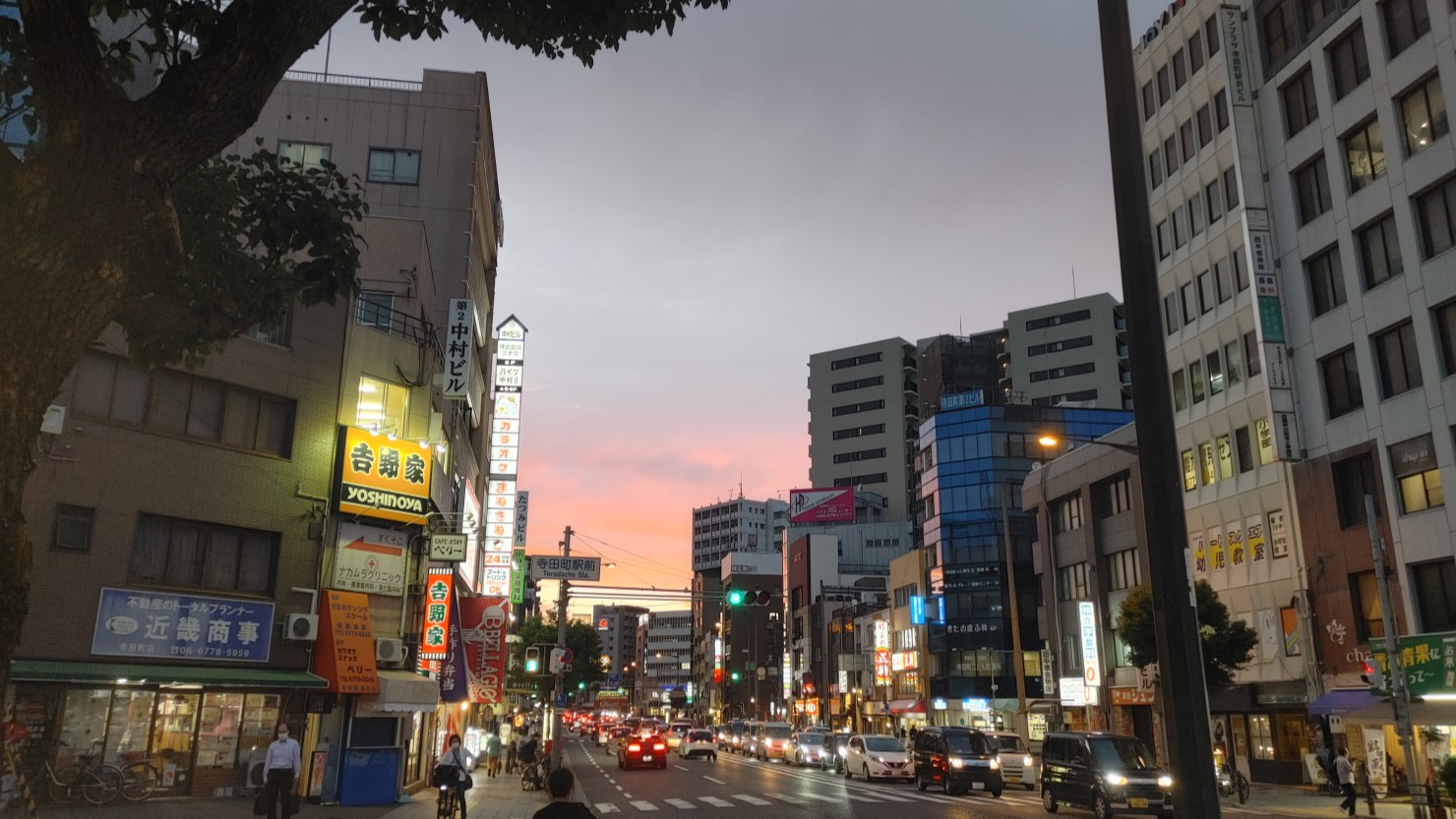 夕方の寺田駅周辺
