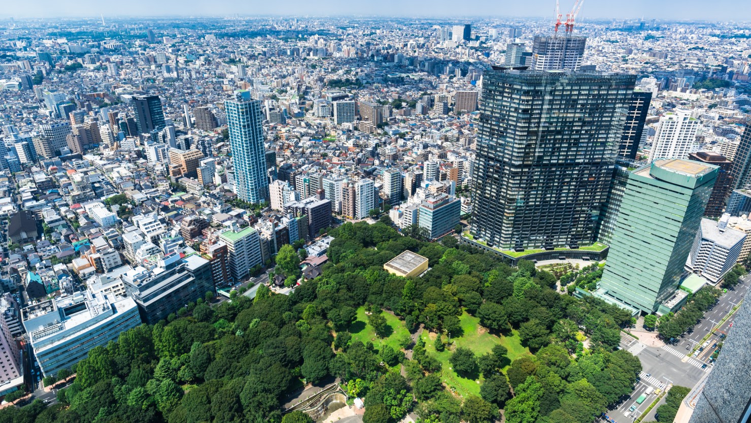 新宿中央公園と東京の街並み