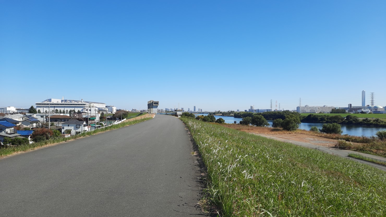 戸田公園周辺の荒川