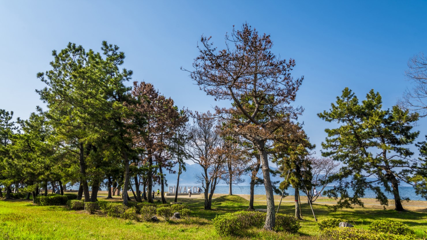 守山市なぎさ公園の風景