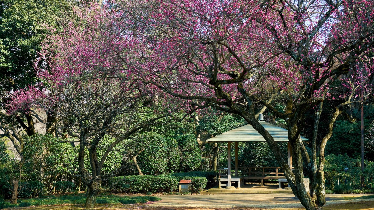 戸定が丘歴史公園