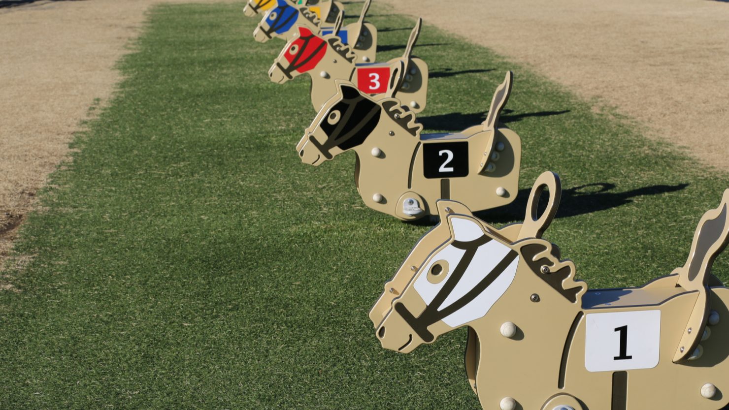 中山競馬場の緑の広場の木馬