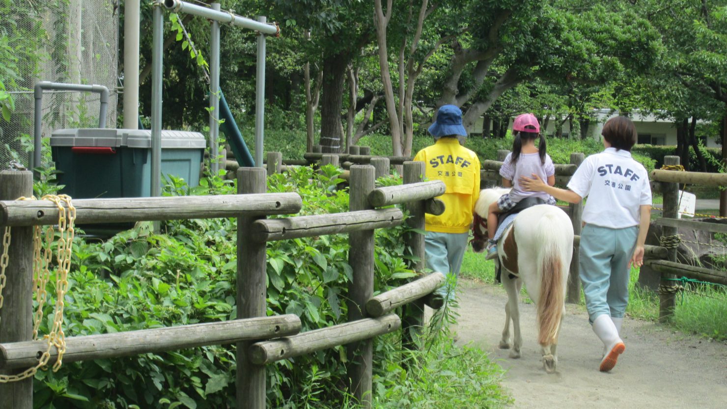 交通公園でポニー乗馬体験
