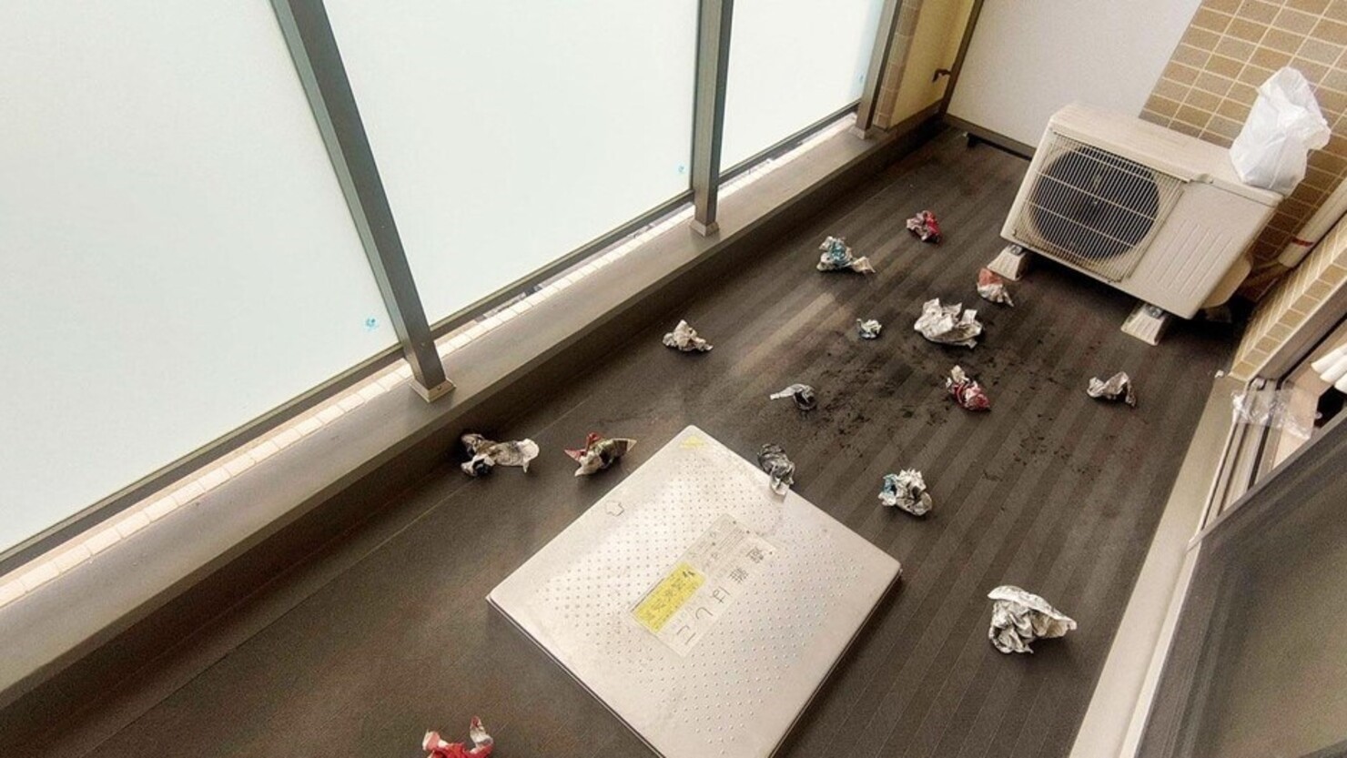 丸めた新聞紙はランダムにばらまく　© 橋尾