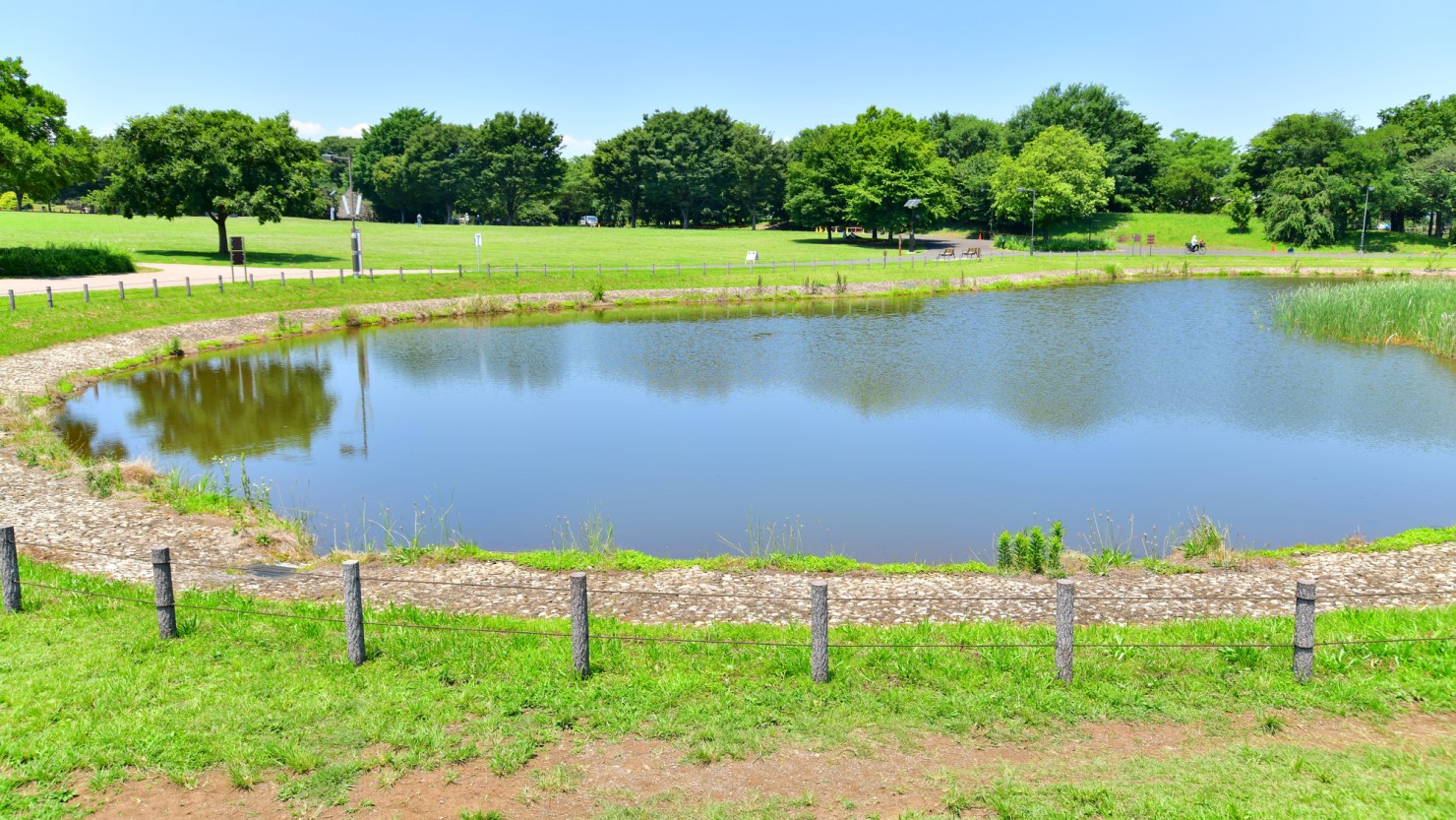 武蔵の森公園