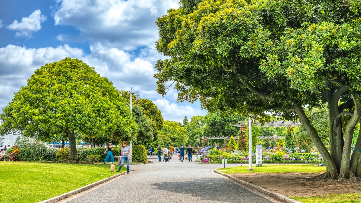 多くの人でにぎわう春の山下公園