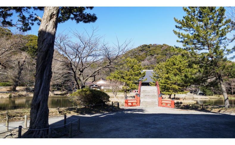 横浜市「金沢区」の住みやすさは？26年間住んでいた私が海のある街の魅力を語ります