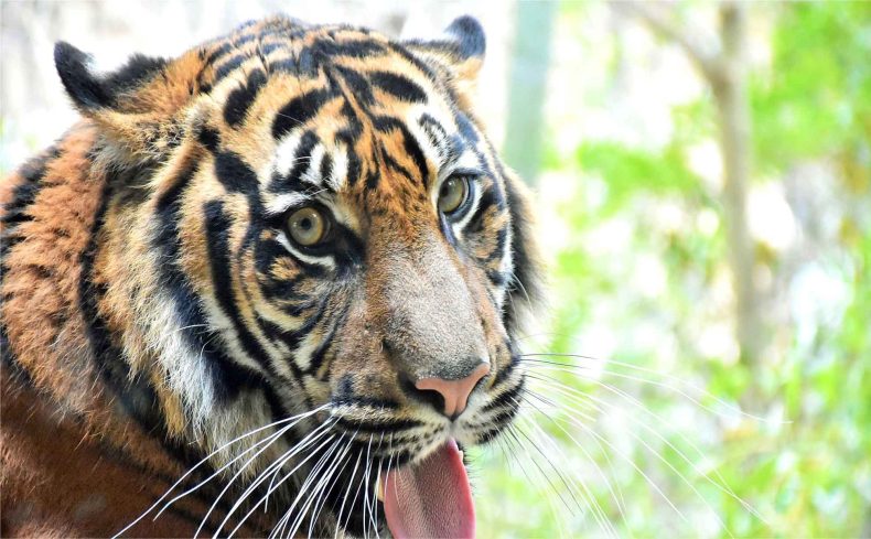 「よこはま動物園ズーラシア」がすごい！現地取材で分かったファミリーに愛される魅力とは