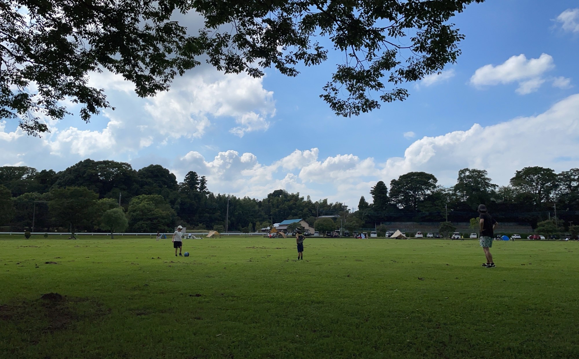 千葉県「野田市」での子育て体験談。子育て支援情報やおすすめスポットを紹介