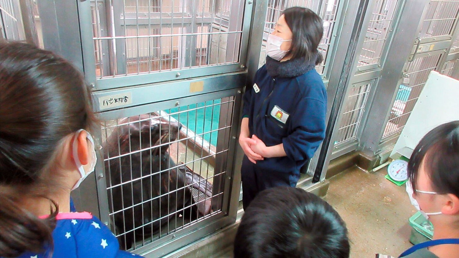 小学生対象のズーラシアスクールは大人気のプログラム（写真提供：よこはま動物園ズーラシア）