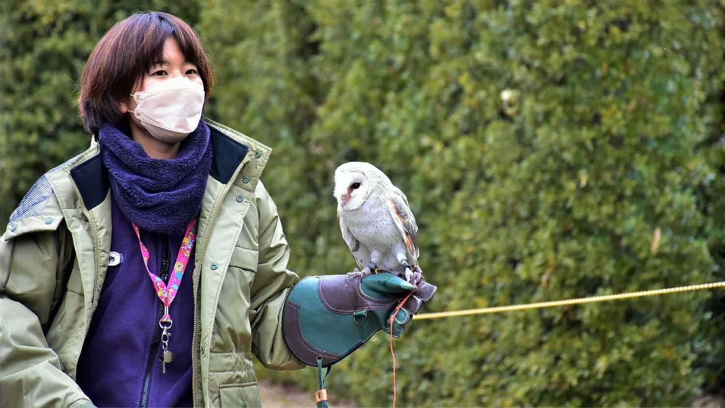 さまざまな鳥の能力を体感できるバードショーは一見の価値あり　© K.Isozaki