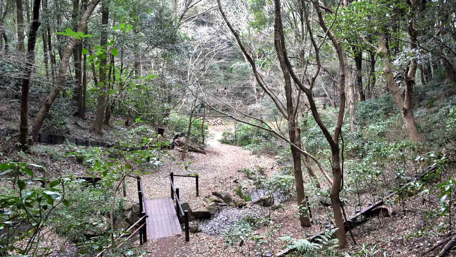 ズーラシアの周辺エリアには昔ながらの豊かな自然が多く残っています　© K.Isozaki