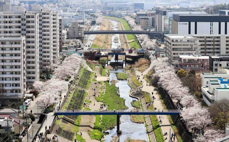 桜の街、横浜市「戸塚区」の住みやすさは？自然と都市のバランスのよさが魅力