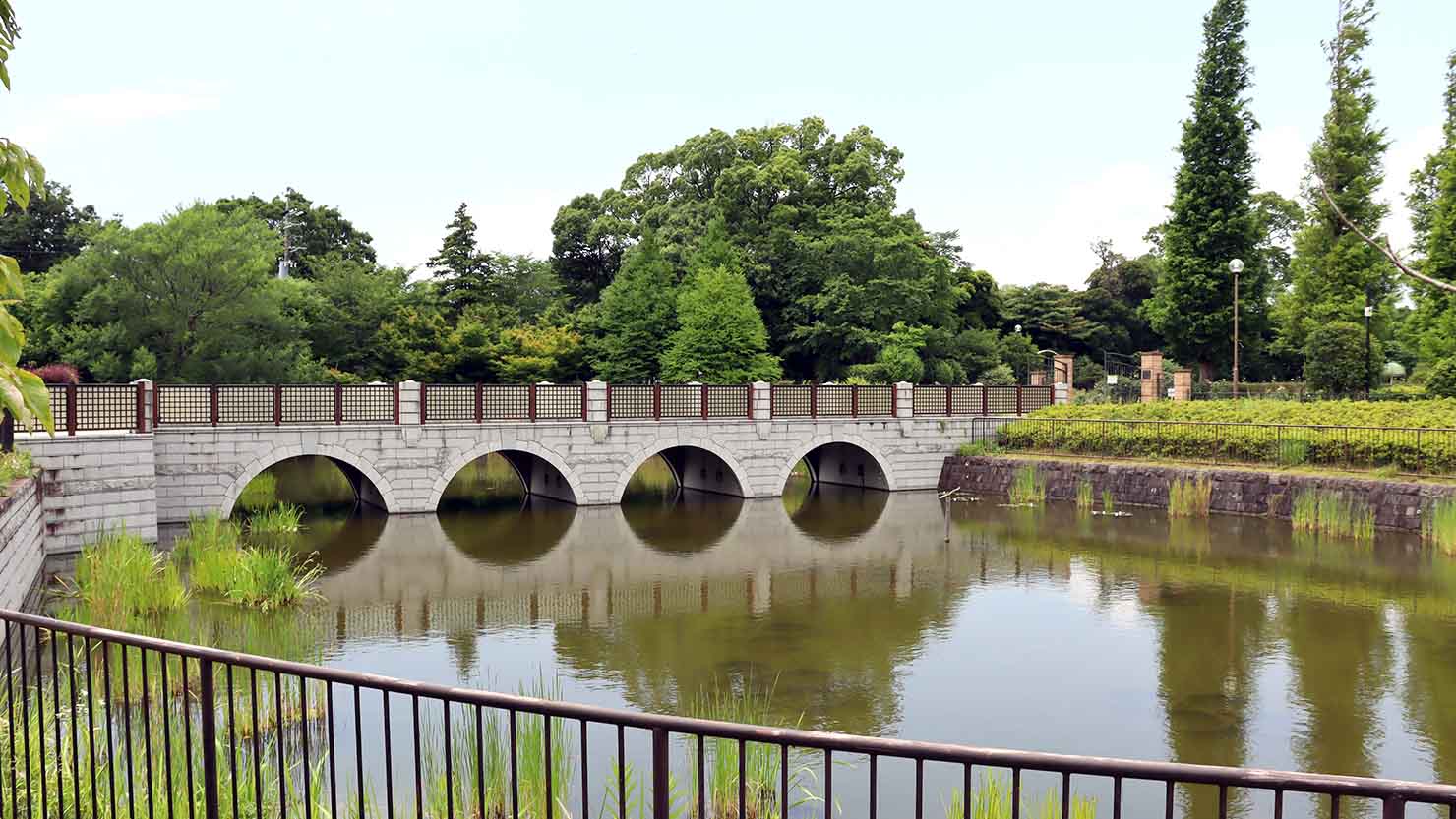 俣野公園の新緑と橋と池