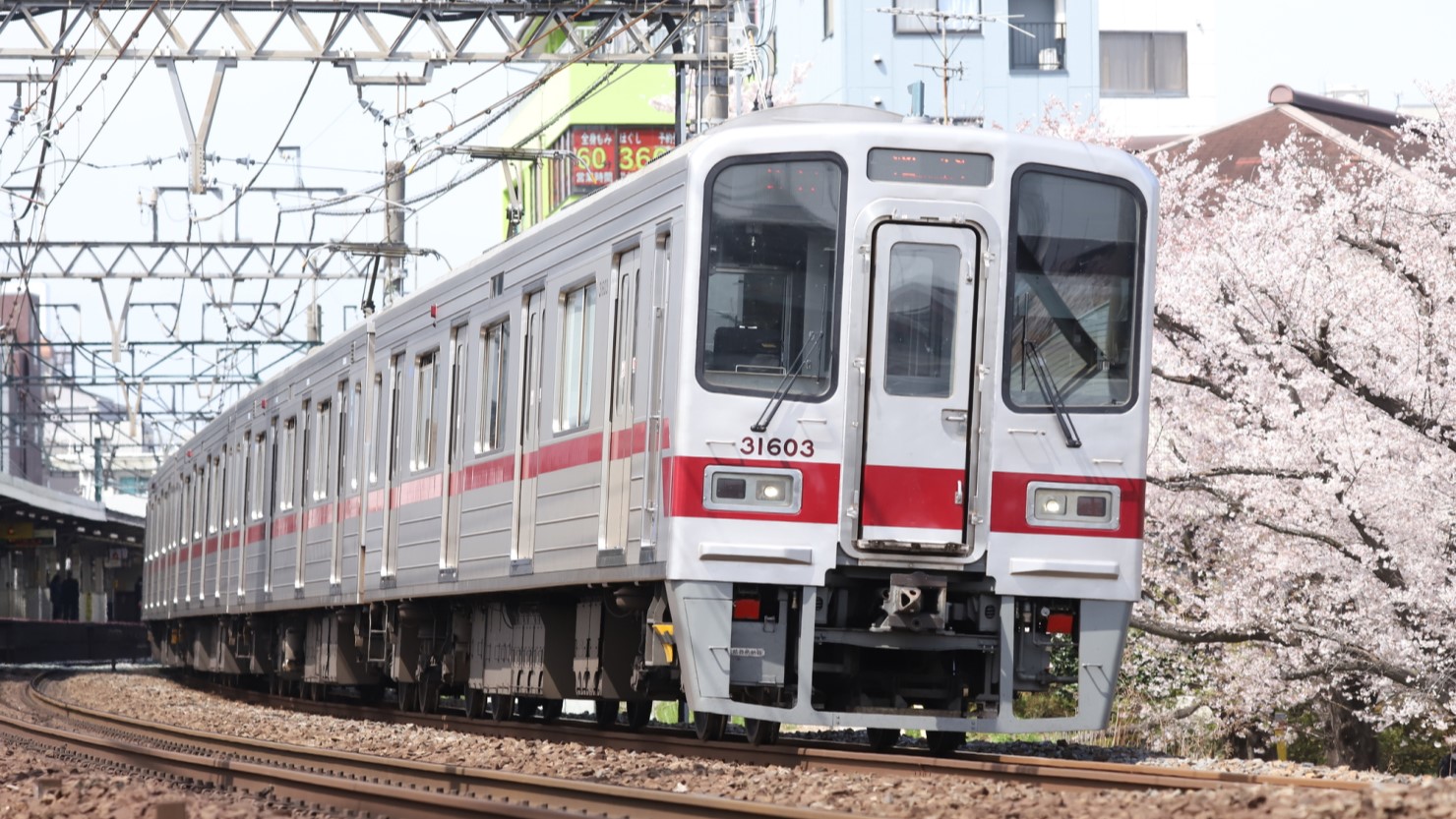 東武東上線と桜