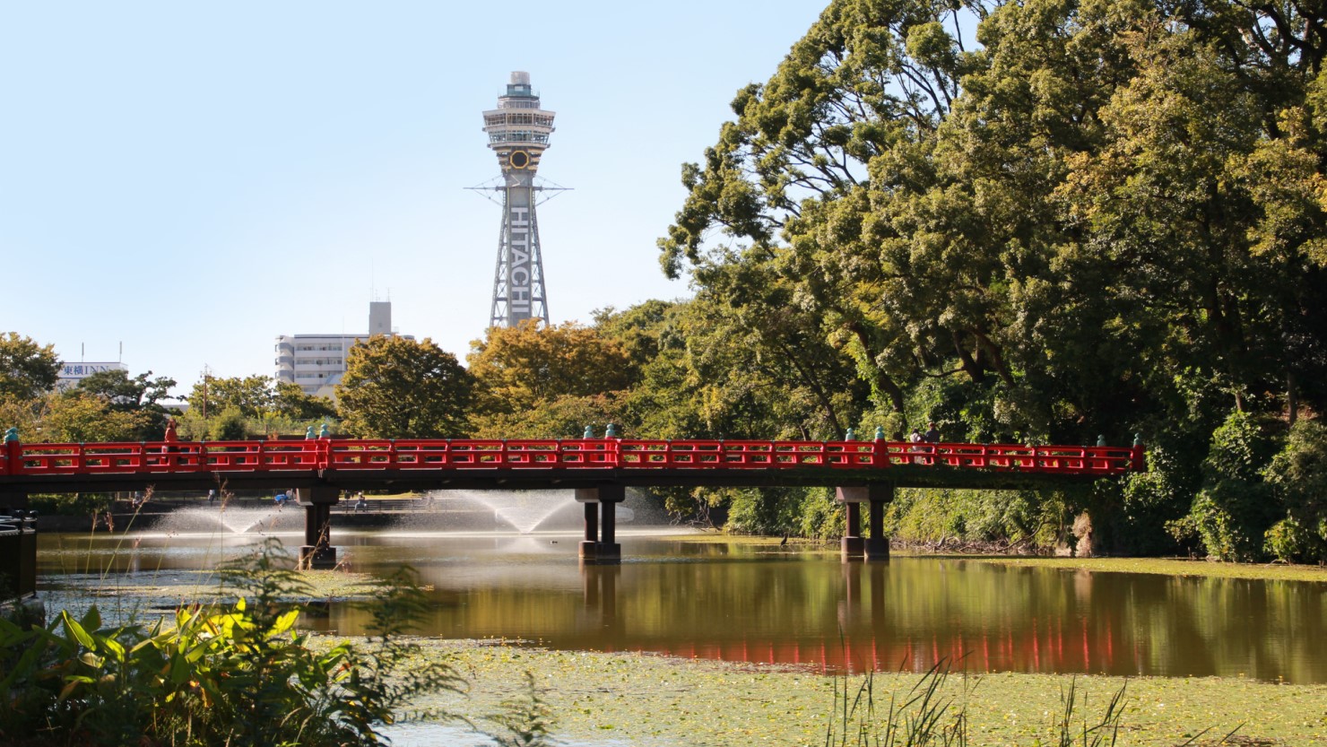 天王寺といえば、今や「あべのハルカス」が有名ですが、「天王寺動物園」もあれば、「茶臼山天王寺公園」もあり、ゆったり過ごせる隠れたスポットが。「茶臼山」からは通天閣も一望できる