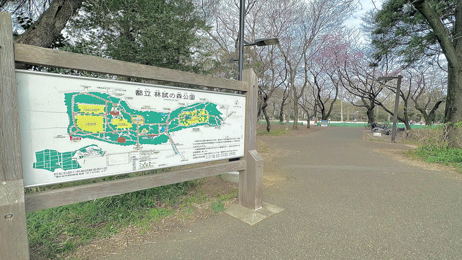 林試の森公園