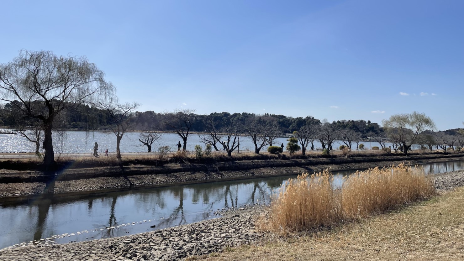 千波湖は季節ごとにさまざまな表情をみせてくれる