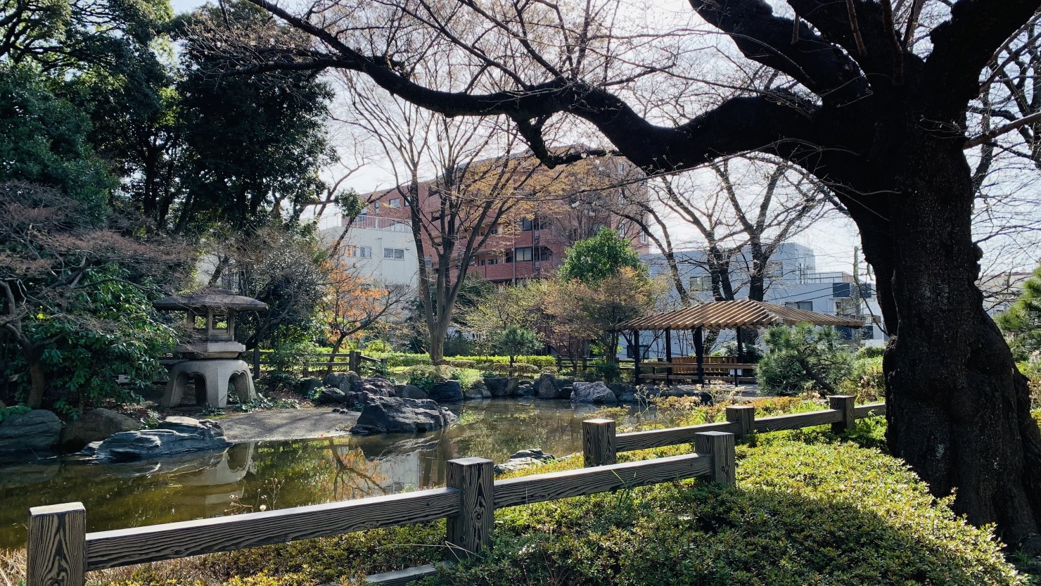 掃部山公園内の庭園