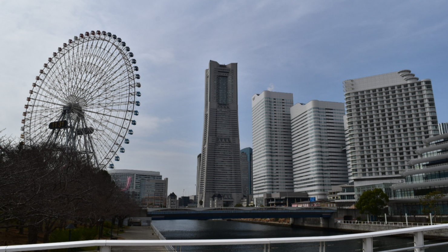 みなとみらい地区のビル群が織りなす絶景