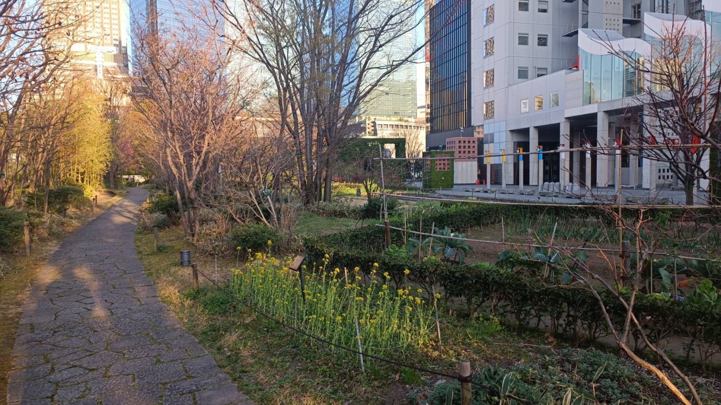 新梅田シティ 新・里山