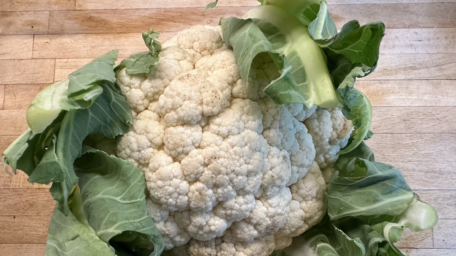 © もぐ・ロンドン