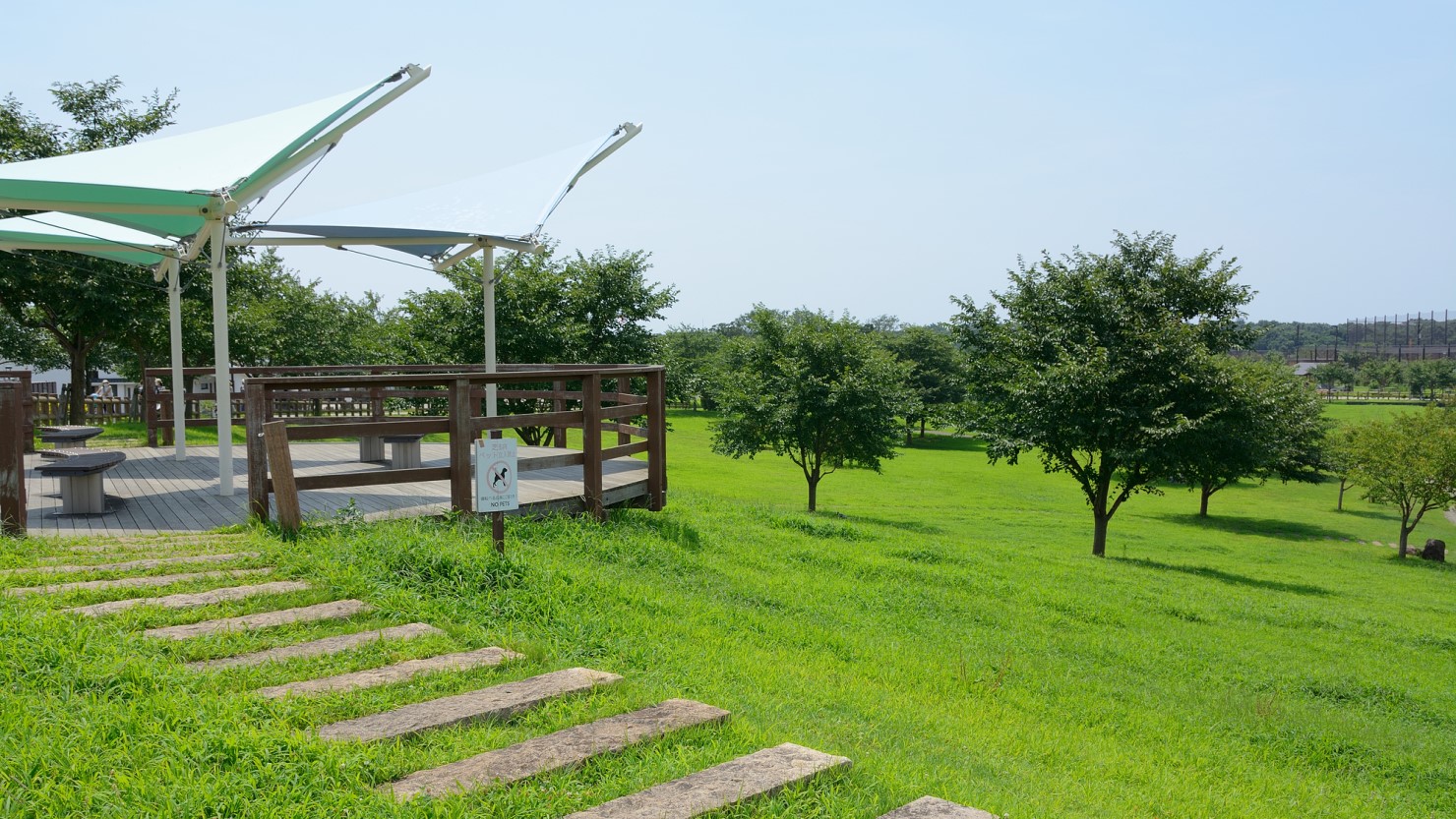 大和ゆとりの森