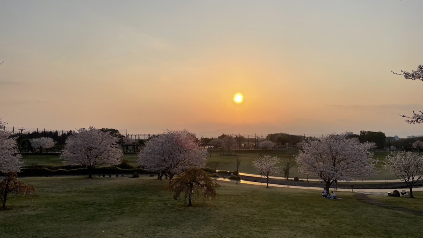 ゆとりの森「修景池ゾーン」