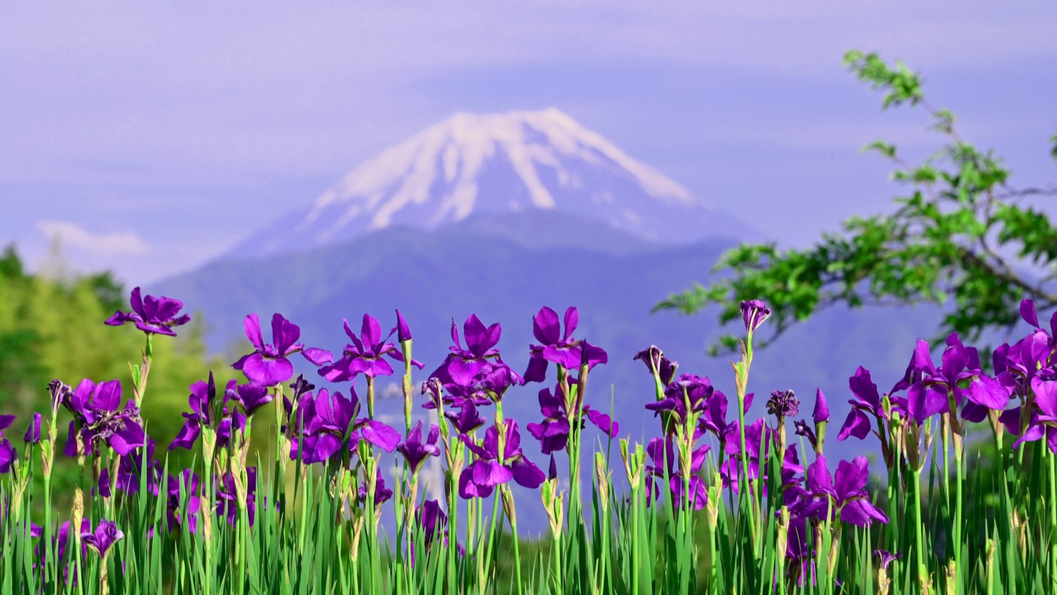 山梨県第3位の人口でありながら自然をたっぷり味わえる南アルプス市